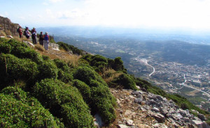 Excursión en Creta - Knossos