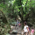Viajes organizados a Creta